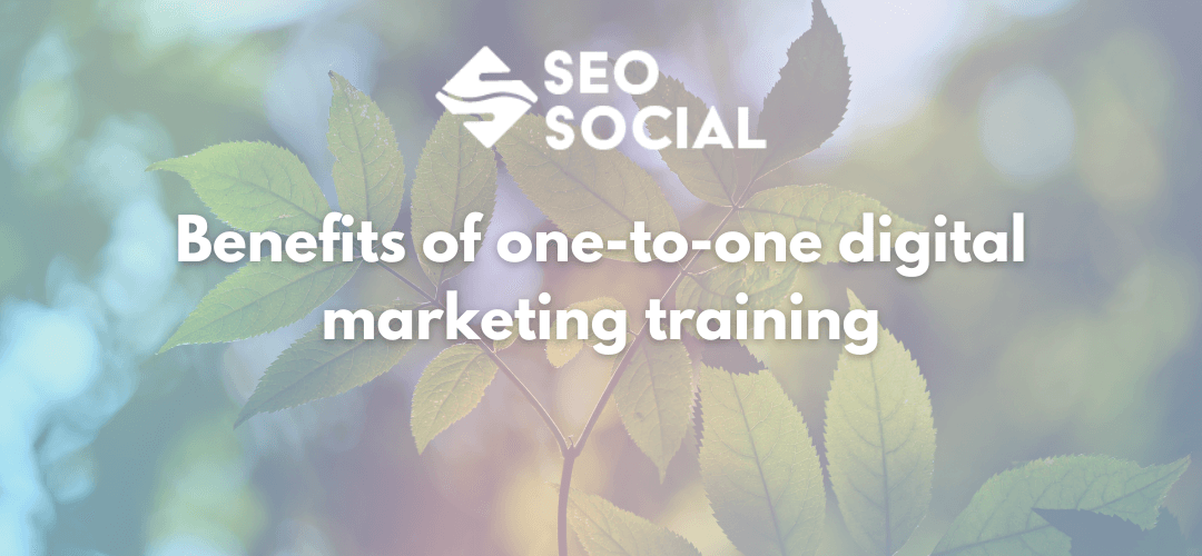 Image text: SEO Social Benefits of one-to-one digital marketing training. image behind text: leaves against a natural background